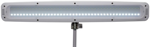 Werkpleklamp MAUL Work LED tafelklem dimbaar wit-3
