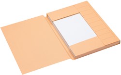 DOSSIERMAP SECOLOR A4 CHAMOIS 3182104 1 Stuk