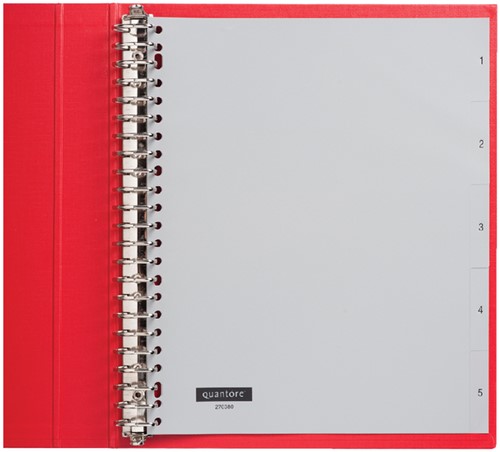 TABBLADEN QUANTORE A4 23R PP 1-5 EXTRA BREED GRIJS 1 Set