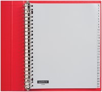 TABBLADEN QUANTORE A4 23R PP 1-31 EXTRA BREED GRIJS 1 Set