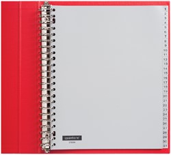 TABBLADEN QUANTORE A4 23R PP 1-31 EXTRA BREED GRIJS 1 Set