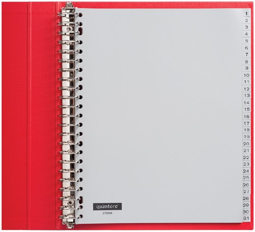 TABBLADEN QUANTORE A4 23R PP 1-31 EXTRA BREED GRIJS 1 Set
