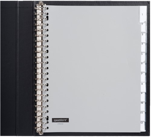 TABBLADEN QUANTORE A4 23R PP 12-DELIG VENSTER BR GS 1 Set