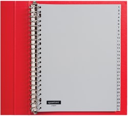 TABBLADEN QUANTORE 23RINGS PP 1-31 GRIJS 1 Set